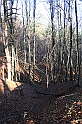 Rostoczek 11.2008 380